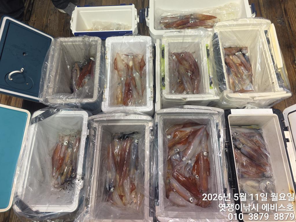 낚시뚜,기타 (직접입력),삼포항,엿쟁이낚시,낚시뚜53