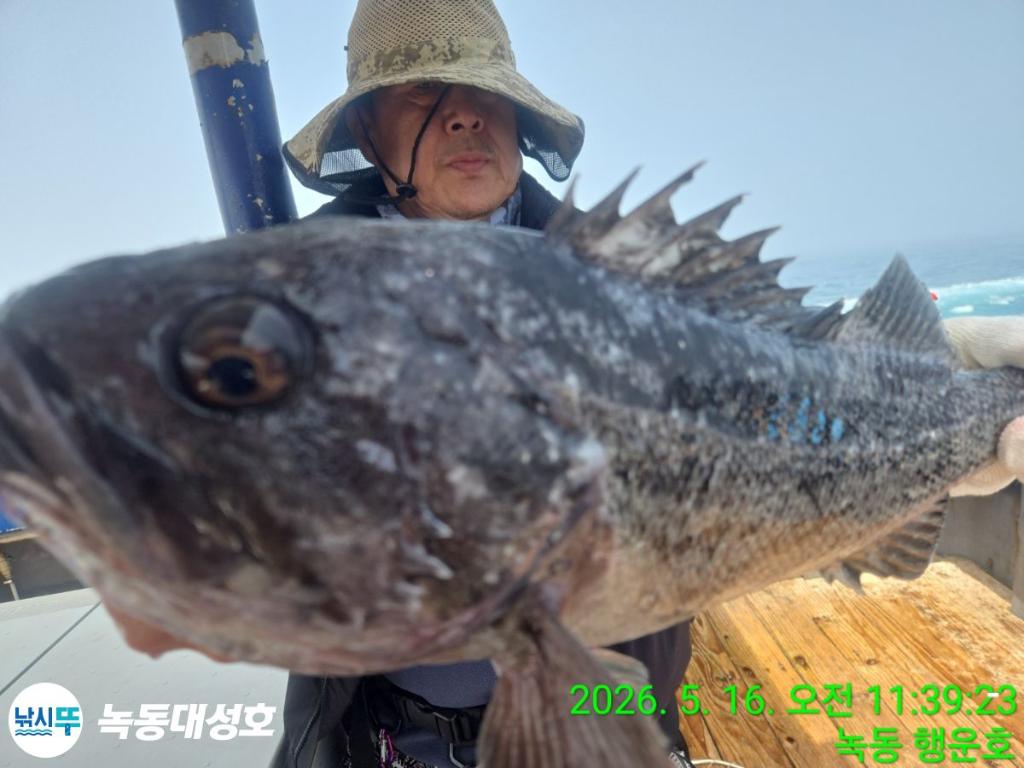낚시뚜,농어,녹동항,녹동대성호,낚시뚜17