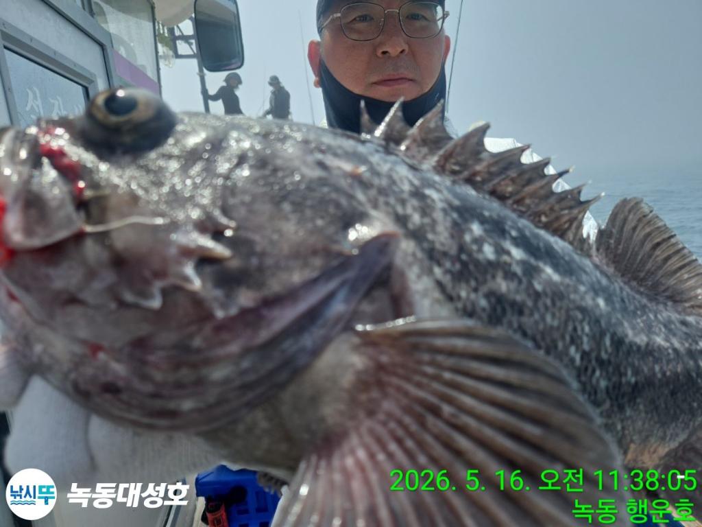 낚시뚜,농어,녹동항,녹동대성호,낚시뚜16