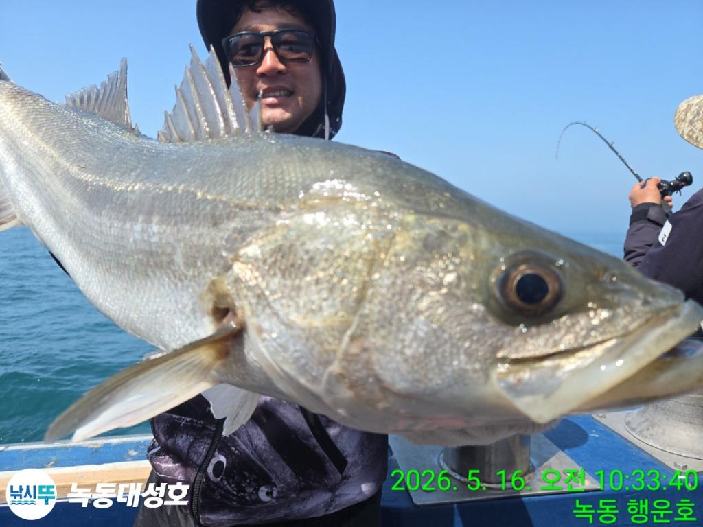 낚시뚜,농어,녹동항,녹동대성호,낚시뚜11