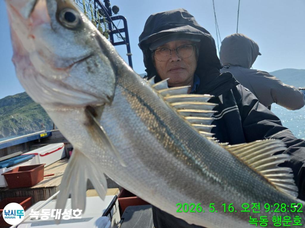 낚시뚜,농어,녹동항,녹동대성호,낚시뚜7