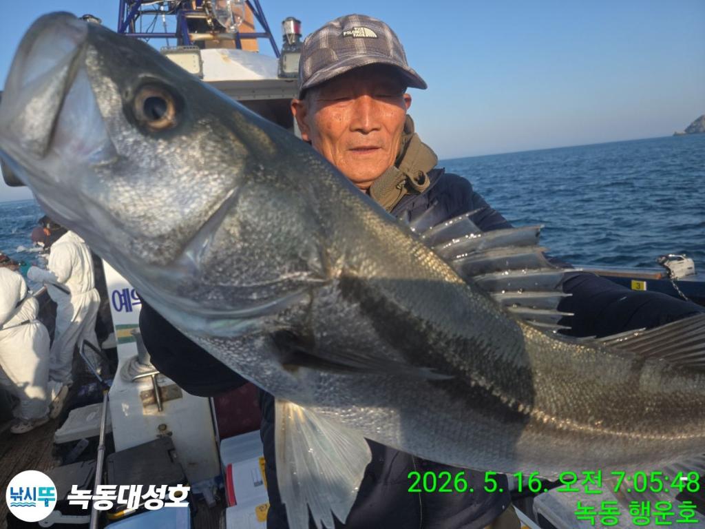 낚시뚜,농어,녹동항,녹동대성호,낚시뚜5