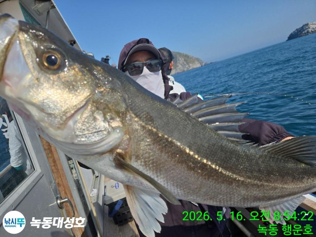 낚시뚜,농어,녹동항,녹동대성호,낚시뚜3