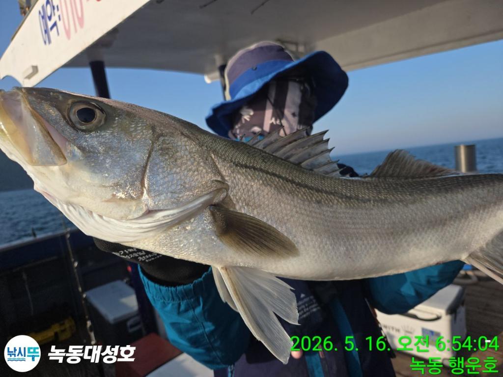 낚시뚜,농어,녹동항,녹동대성호,낚시뚜2