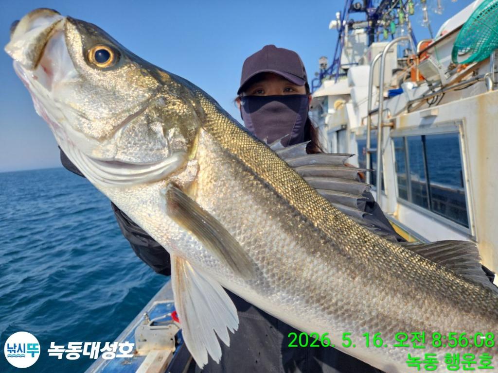 낚시뚜,농어,녹동항,녹동대성호,낚시뚜1