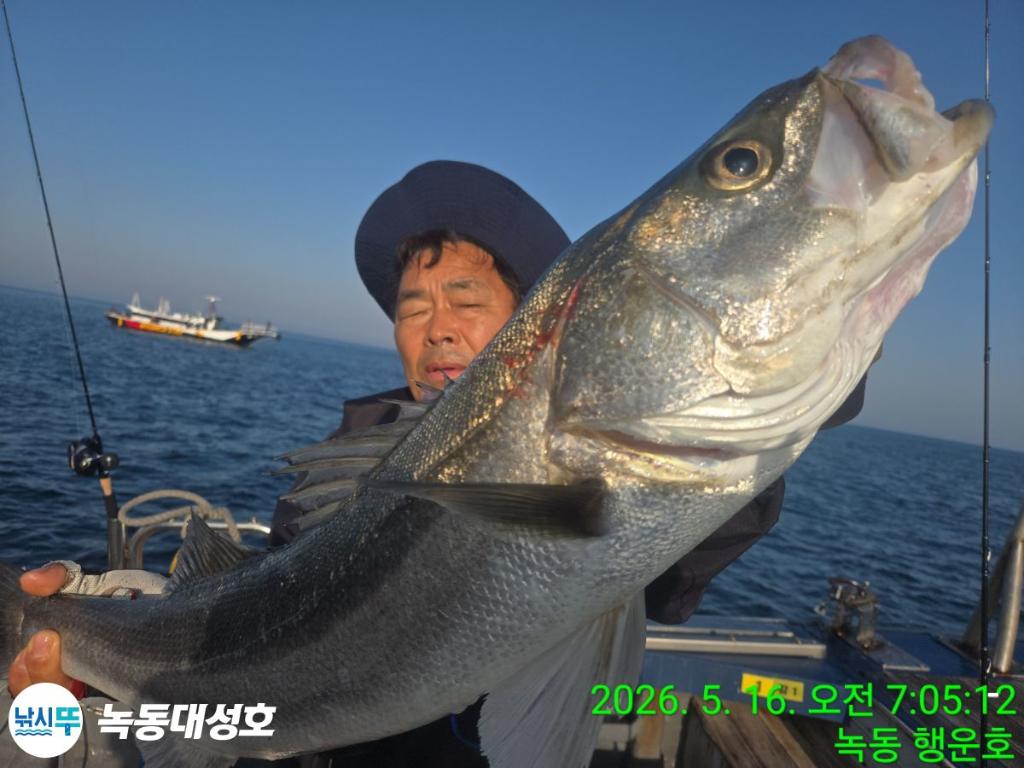 낚시뚜,농어,녹동항,녹동대성호,낚시뚜0