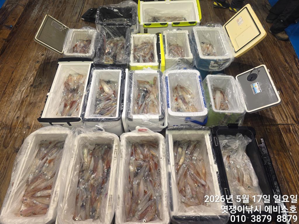 낚시뚜,기타 (직접입력),삼포항,엿쟁이낚시,낚시뚜1