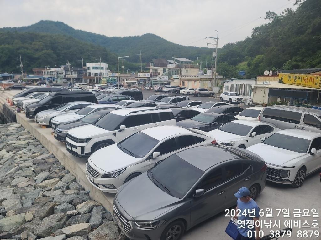 낚시뚜,기타 (직접입력),삼포항,엿쟁이낚시,낚시뚜31