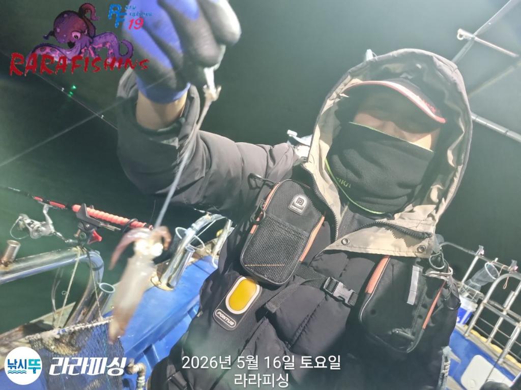 낚시뚜,호래기,속천항(진해),라라피싱,낚시뚜9