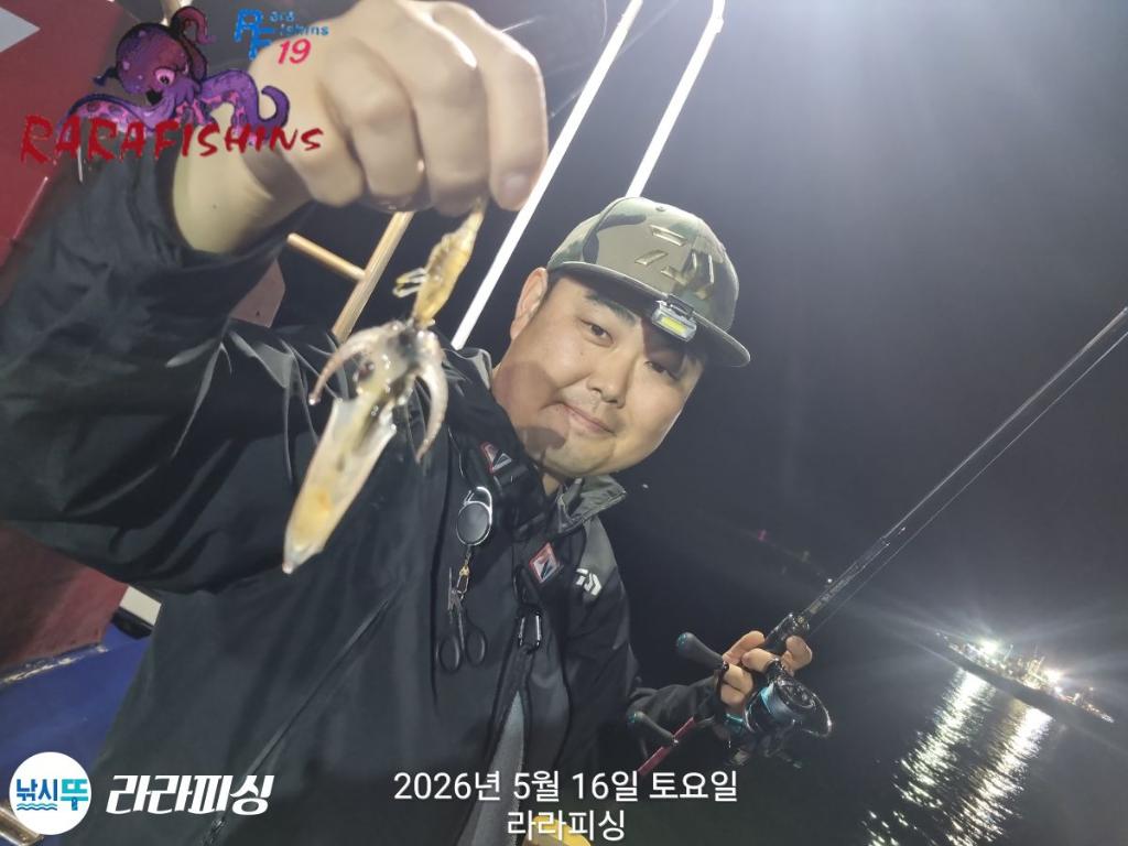 낚시뚜,호래기,속천항(진해),라라피싱,낚시뚜4