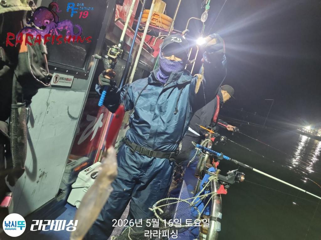 낚시뚜,호래기,속천항(진해),라라피싱,낚시뚜3