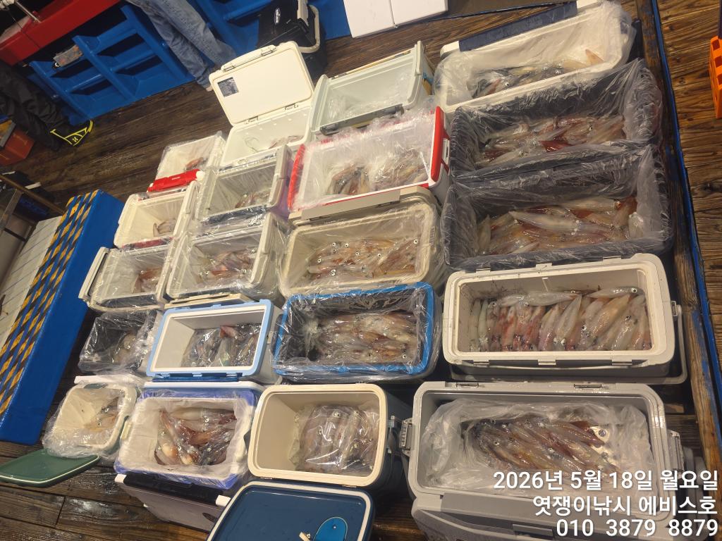 낚시뚜,기타 (직접입력),삼포항,엿쟁이낚시,낚시뚜21