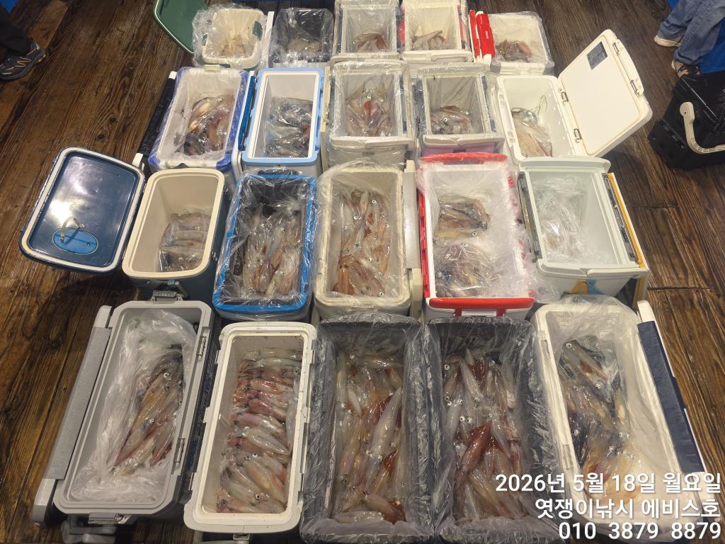 낚시뚜,기타 (직접입력),삼포항,엿쟁이낚시,낚시뚜23