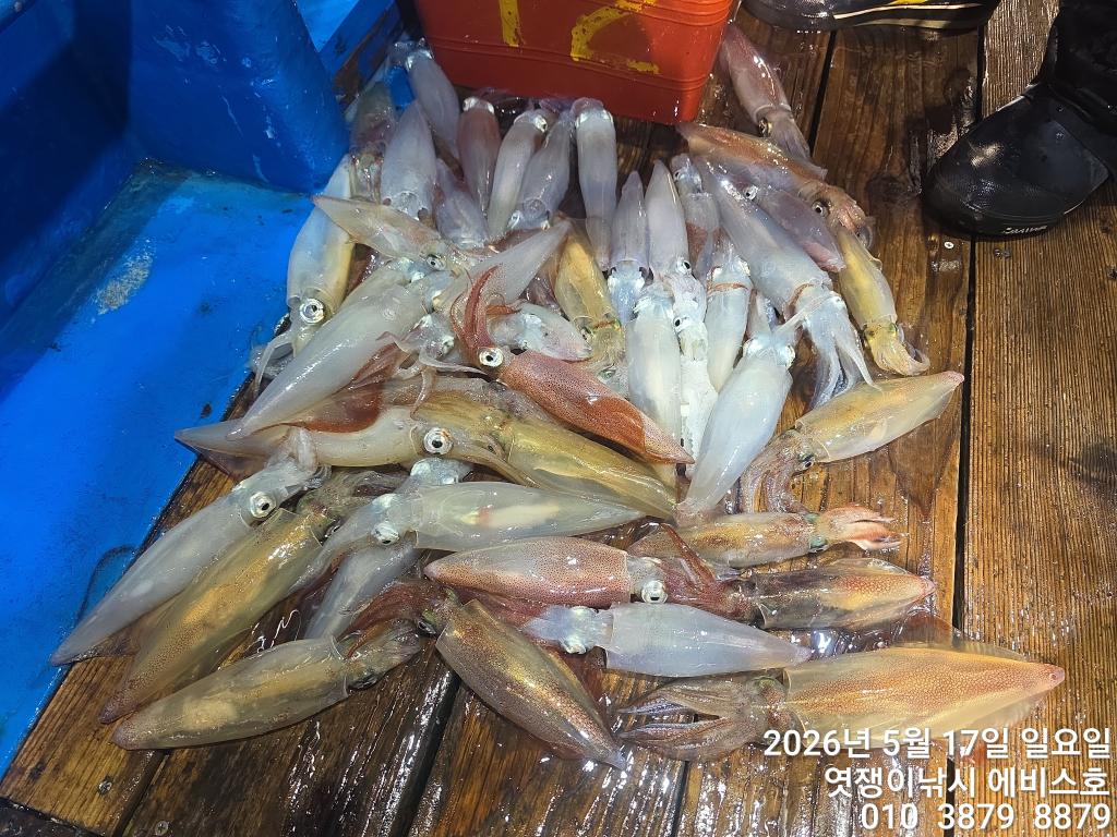 낚시뚜,기타 (직접입력),삼포항,엿쟁이낚시,낚시뚜35