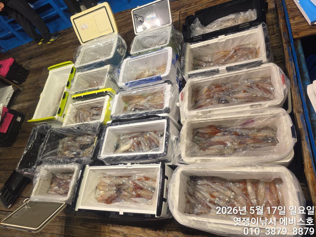 낚시뚜,기타 (직접입력),삼포항,엿쟁이낚시,낚시뚜51