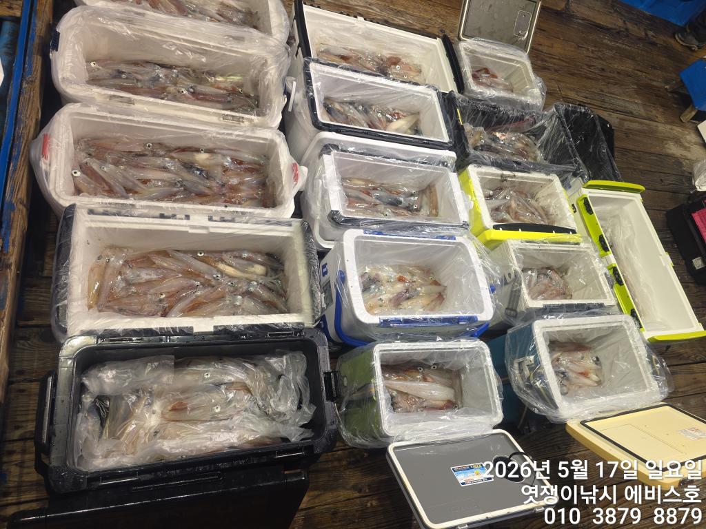 낚시뚜,기타 (직접입력),삼포항,엿쟁이낚시,낚시뚜52