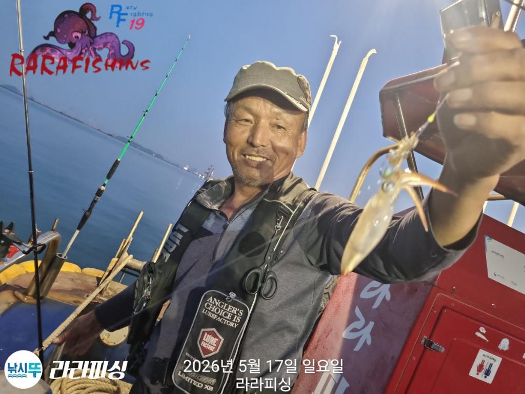 낚시뚜,호래기,속천항(진해),라라피싱,낚시뚜8