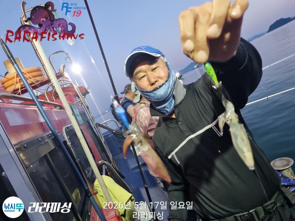 낚시뚜,호래기,속천항(진해),라라피싱,낚시뚜11