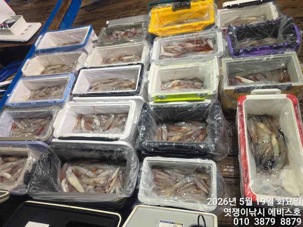 낚시뚜,기타 (직접입력),삼포항,엿쟁이낚시,낚시뚜23