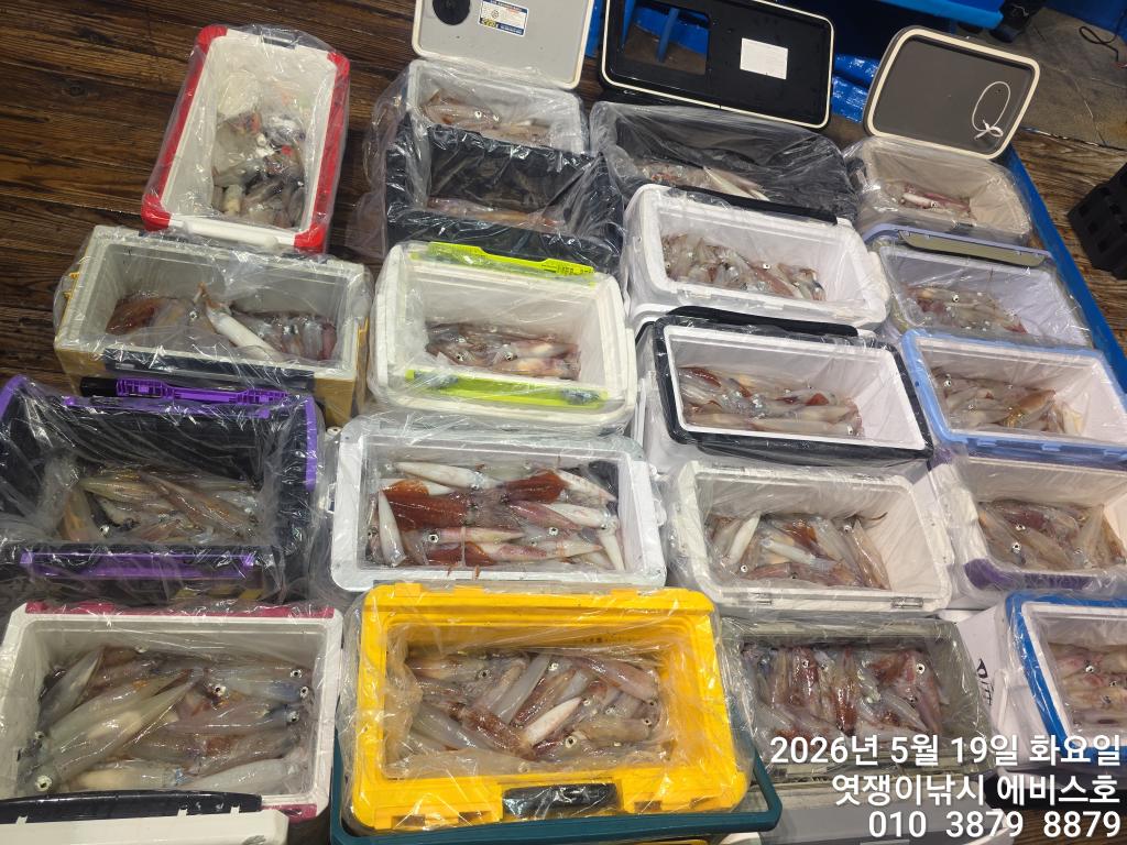 낚시뚜,기타 (직접입력),삼포항,엿쟁이낚시,낚시뚜24