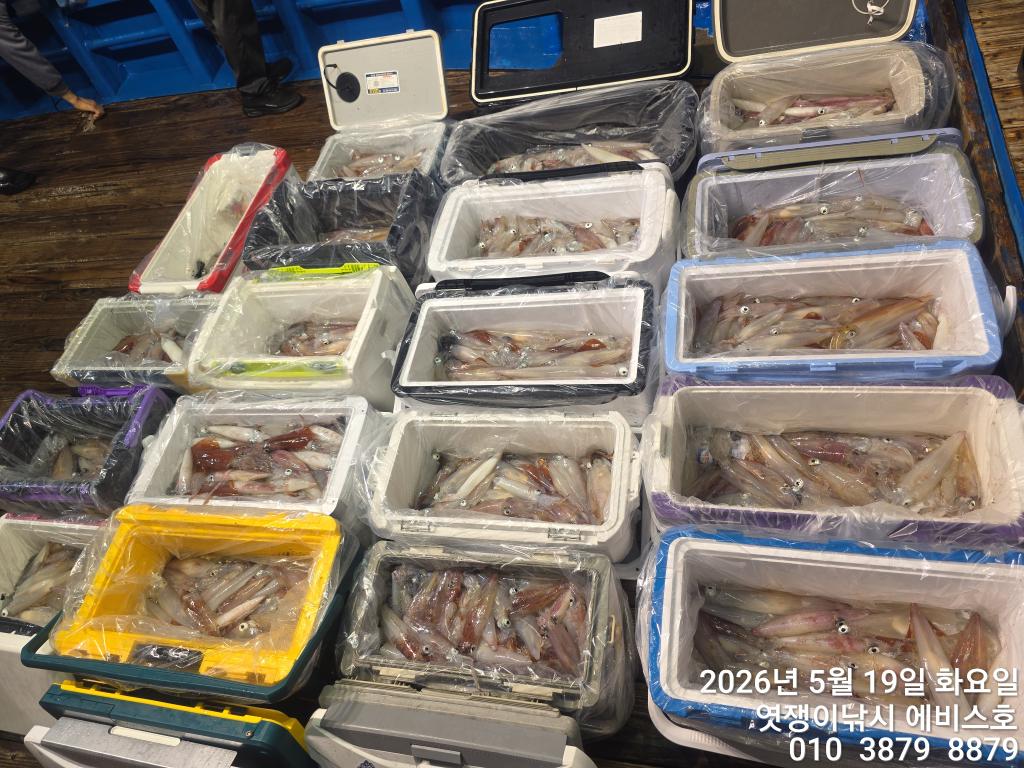 낚시뚜,기타 (직접입력),삼포항,엿쟁이낚시,낚시뚜25