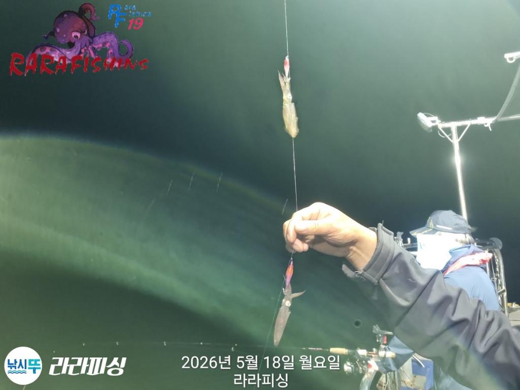 낚시뚜,호래기,속천항(진해),라라피싱,낚시뚜6
