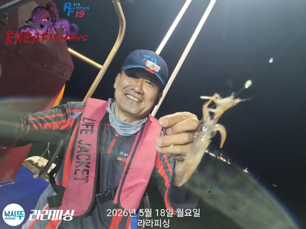 낚시뚜,호래기,속천항(진해),라라피싱,낚시뚜4