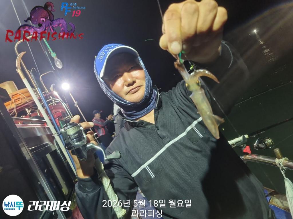 낚시뚜,호래기,속천항(진해),라라피싱,낚시뚜3