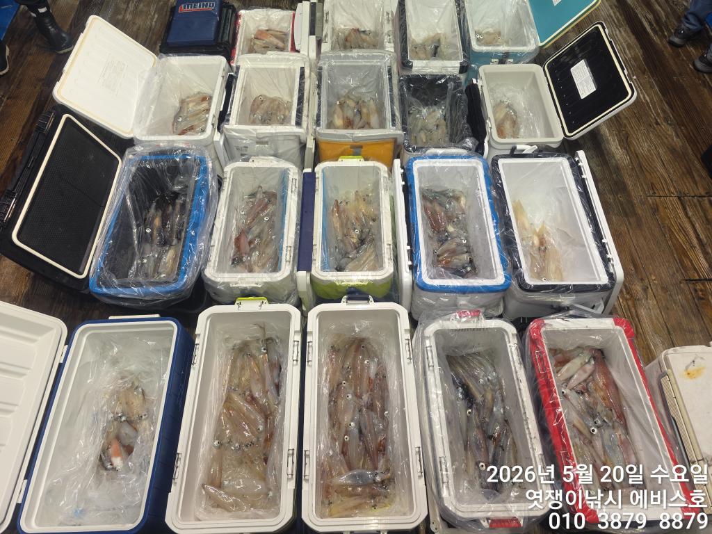 낚시뚜,기타 (직접입력),삼포항,엿쟁이낚시,낚시뚜18