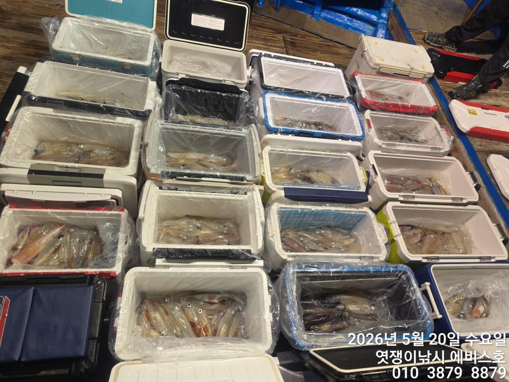 낚시뚜,기타 (직접입력),삼포항,엿쟁이낚시,낚시뚜20
