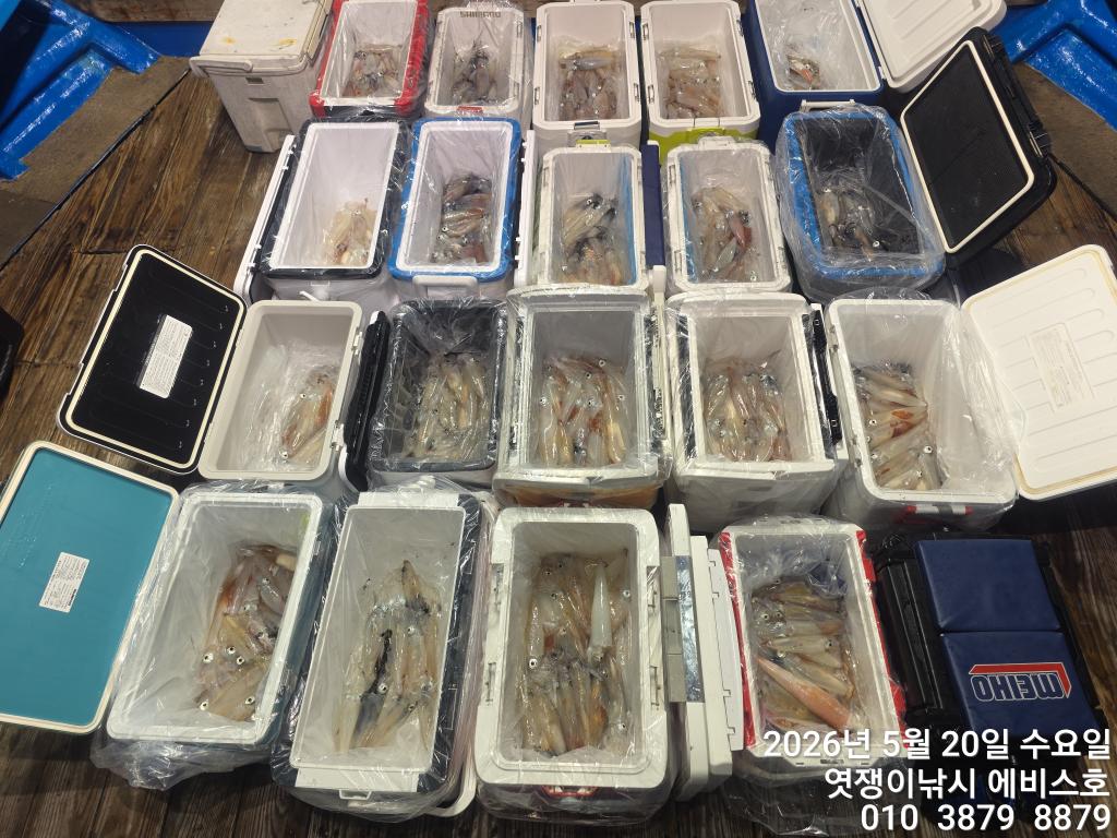 낚시뚜,기타 (직접입력),삼포항,엿쟁이낚시,낚시뚜22
