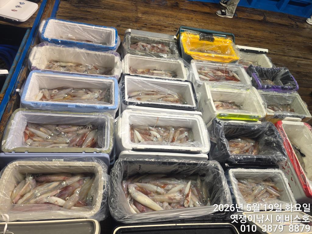 낚시뚜,기타 (직접입력),삼포항,엿쟁이낚시,낚시뚜41