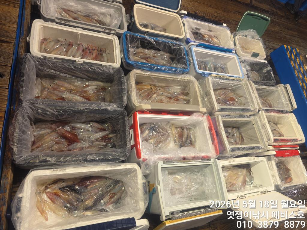 낚시뚜,기타 (직접입력),삼포항,엿쟁이낚시,낚시뚜66
