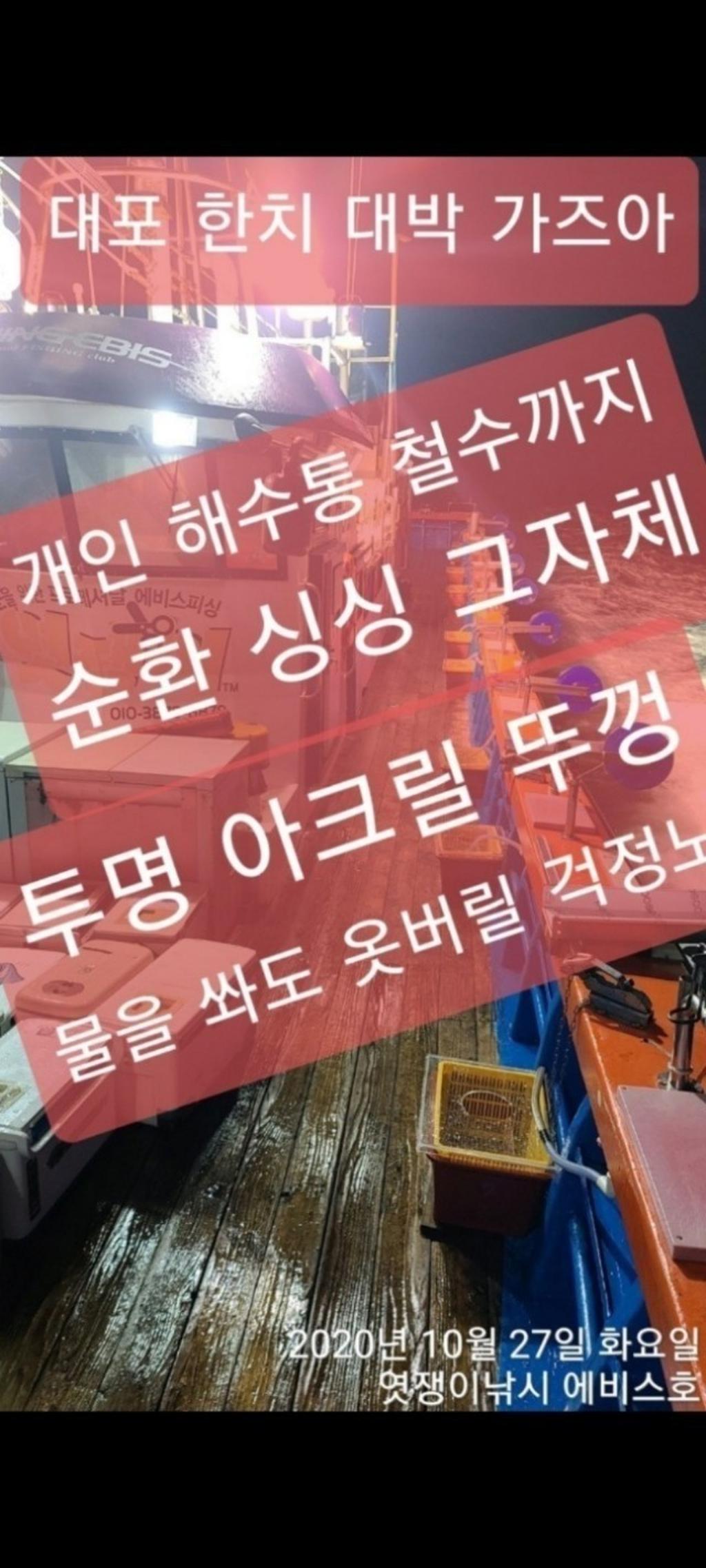 낚시뚜,기타 (직접입력),삼포항,엿쟁이낚시,낚시뚜74