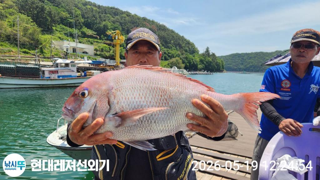낚시뚜,참돔,풍화상장마을,통영 현대레져선외기,낚시뚜3