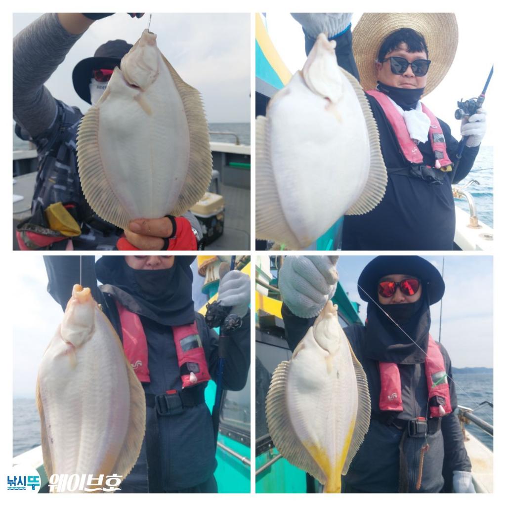 낚시뚜,도다리,가자미,구룡포항,뉴웨이브호,낚시뚜0