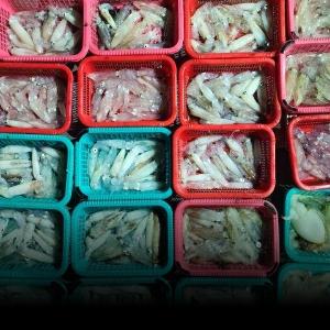 조황, 야간 호래기 마리수 대박