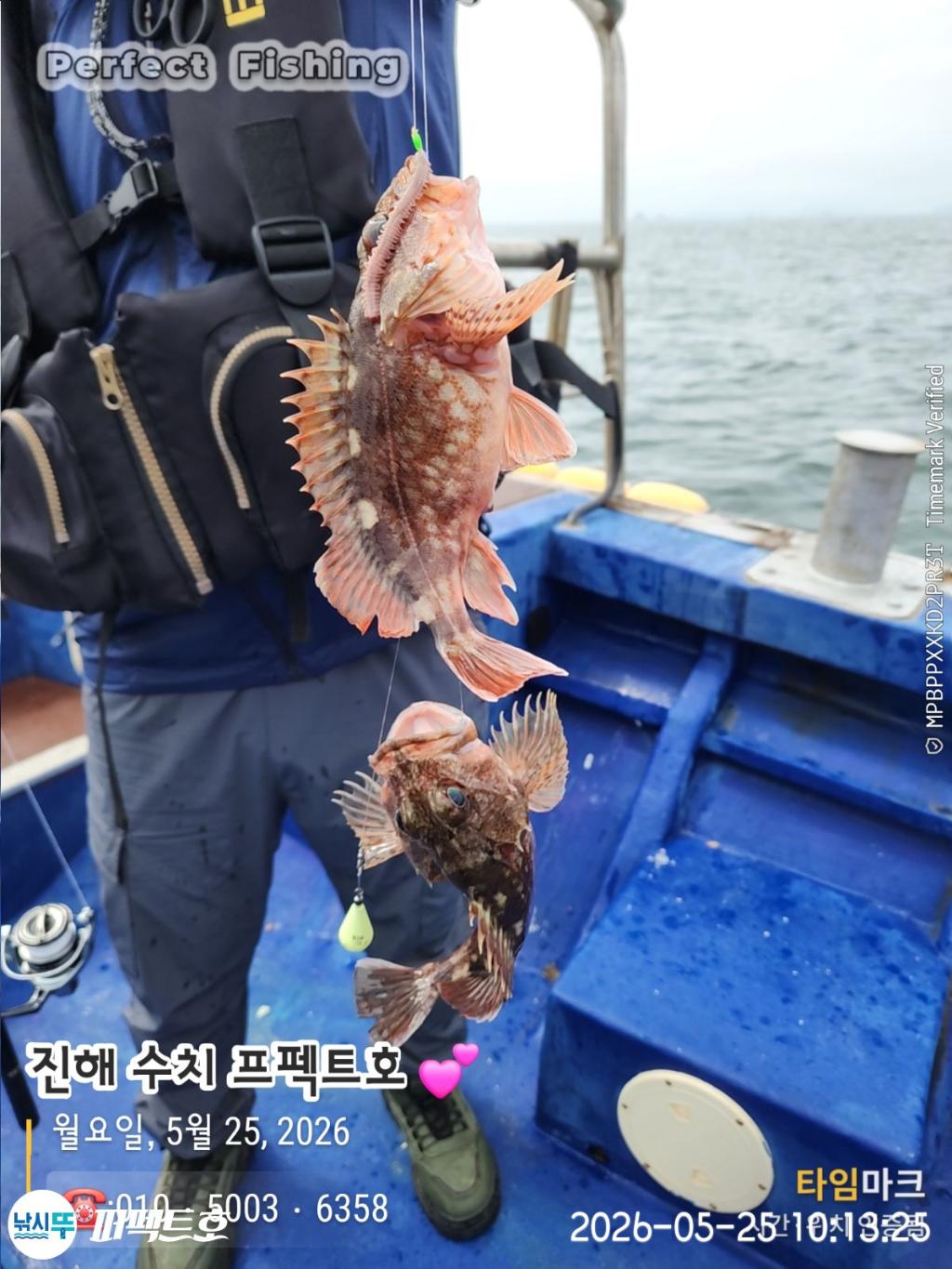 낚시뚜,기타어종,진해 수치마을 방파제,퍼펙트호,낚시뚜10