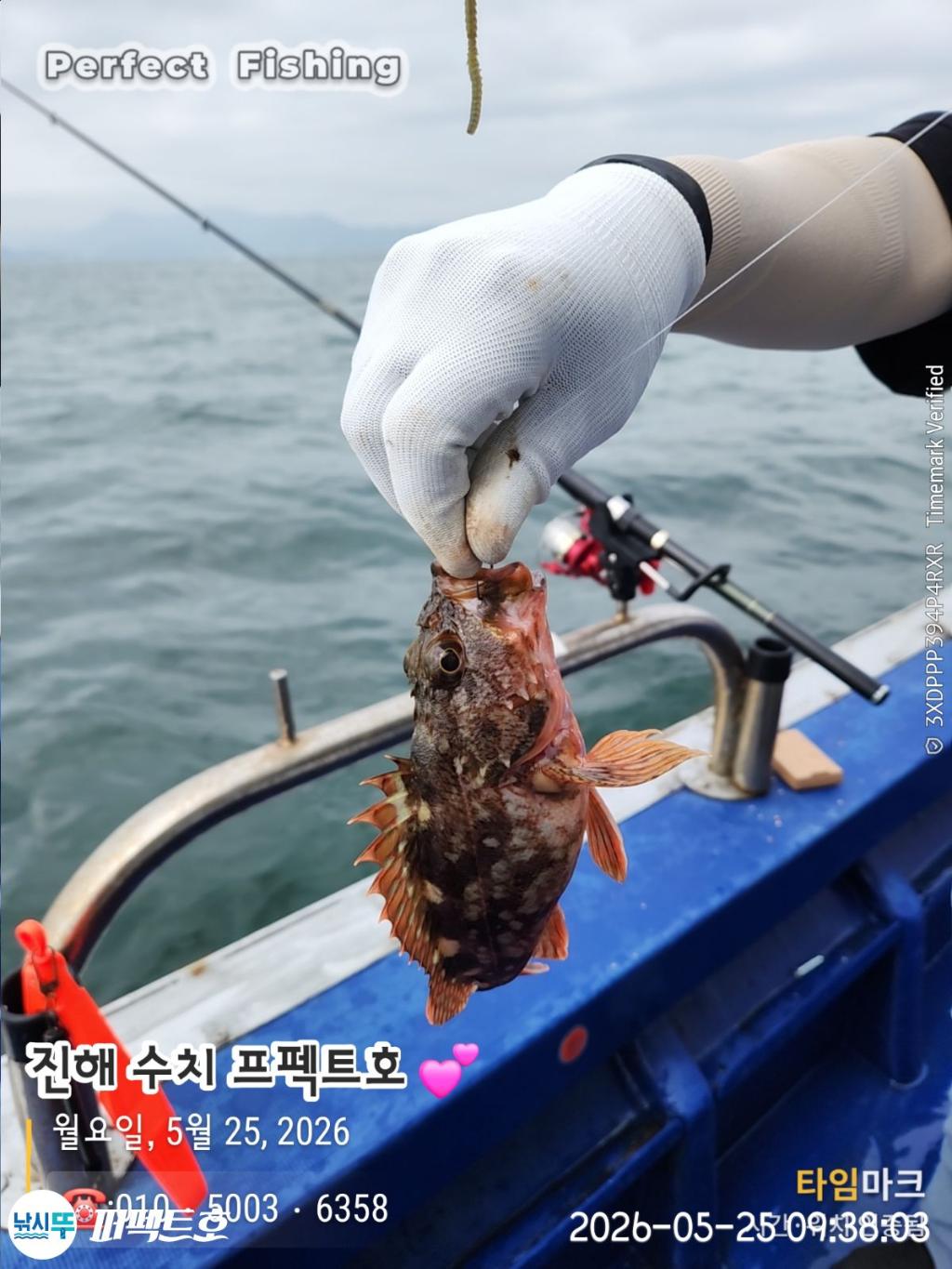 낚시뚜,기타어종,진해 수치마을 방파제,퍼펙트호,낚시뚜9