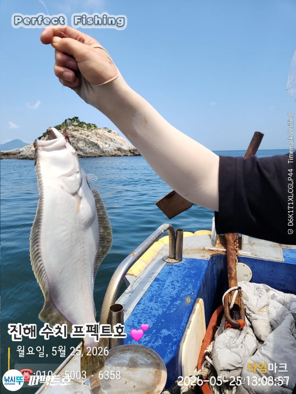 낚시뚜,기타어종,진해 수치마을 방파제,퍼펙트호,낚시뚜6