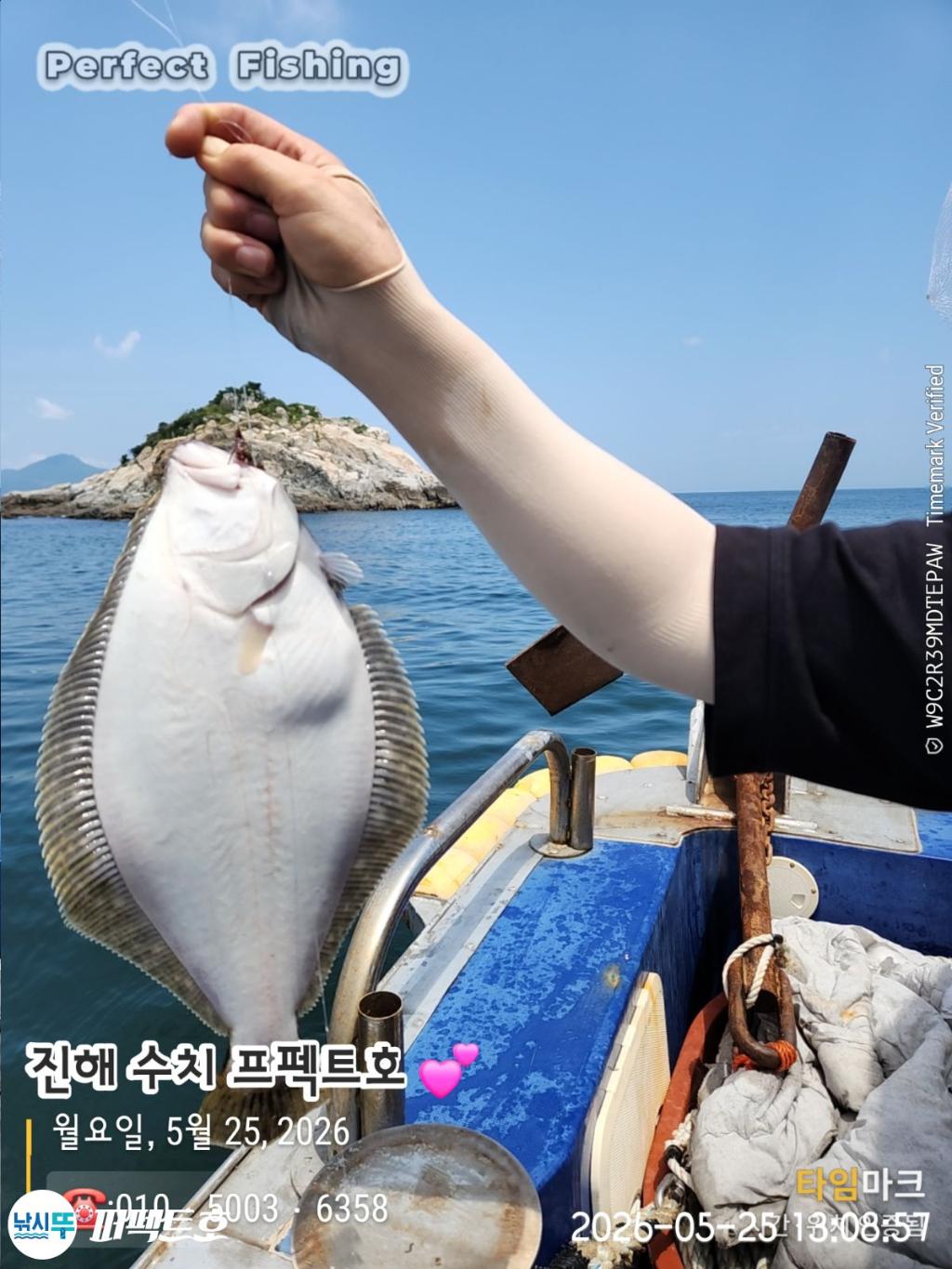 낚시뚜,기타어종,진해 수치마을 방파제,퍼펙트호,낚시뚜3