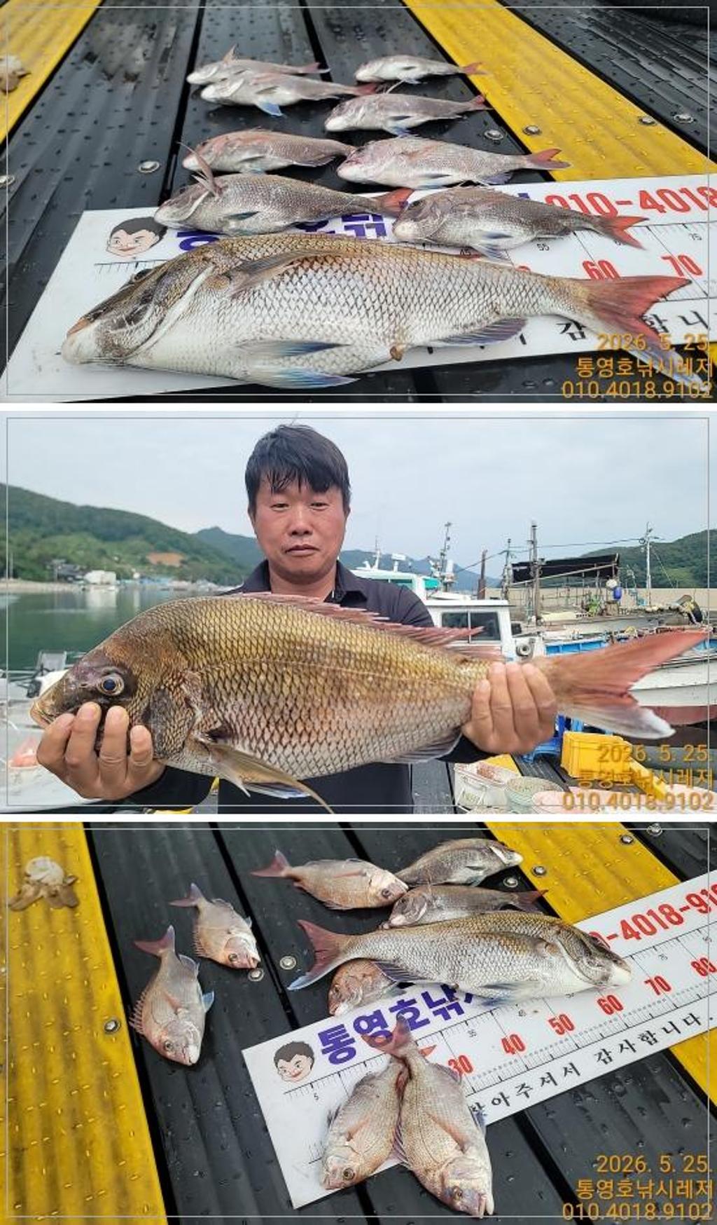 낚시뚜,참돔,풍화수월선착장,통영호 낚시레져,낚시뚜0