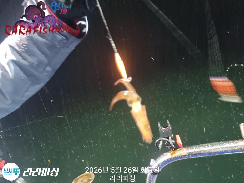 낚시뚜,호래기,속천항(진해),라라피싱,낚시뚜6