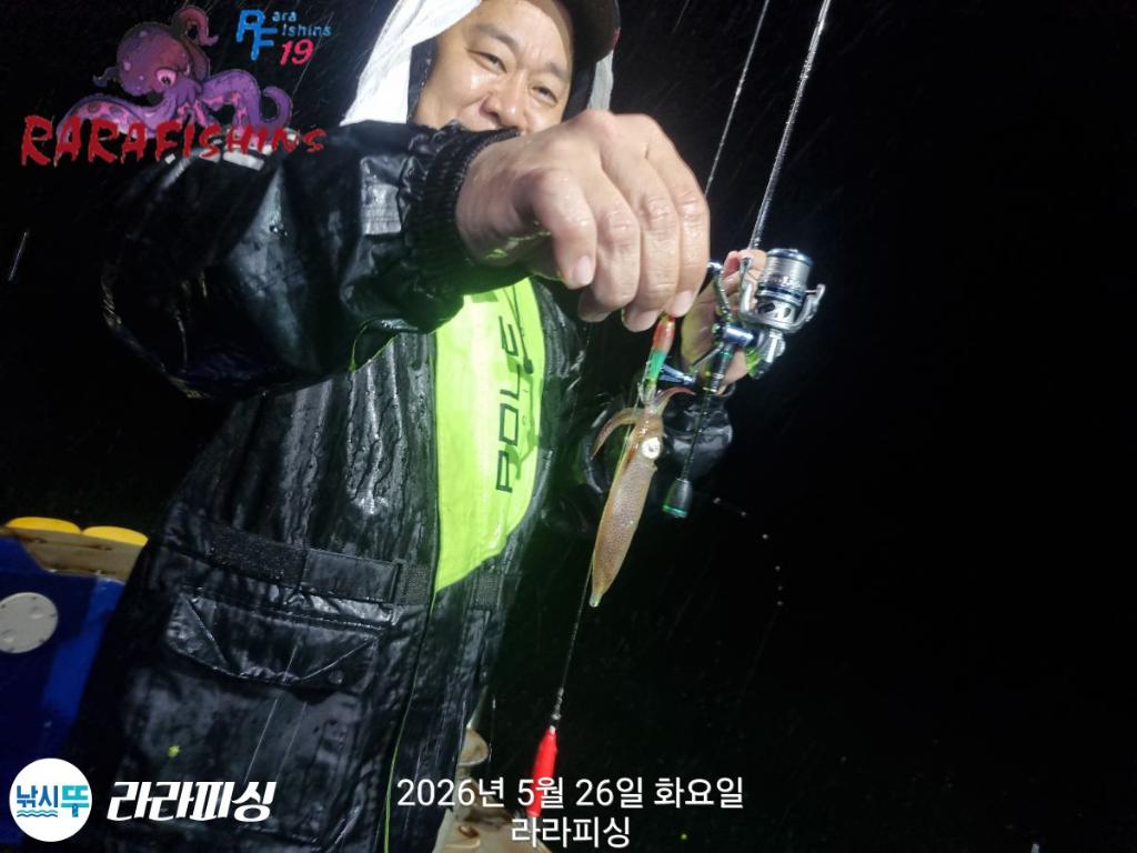 낚시뚜,호래기,속천항(진해),라라피싱,낚시뚜4