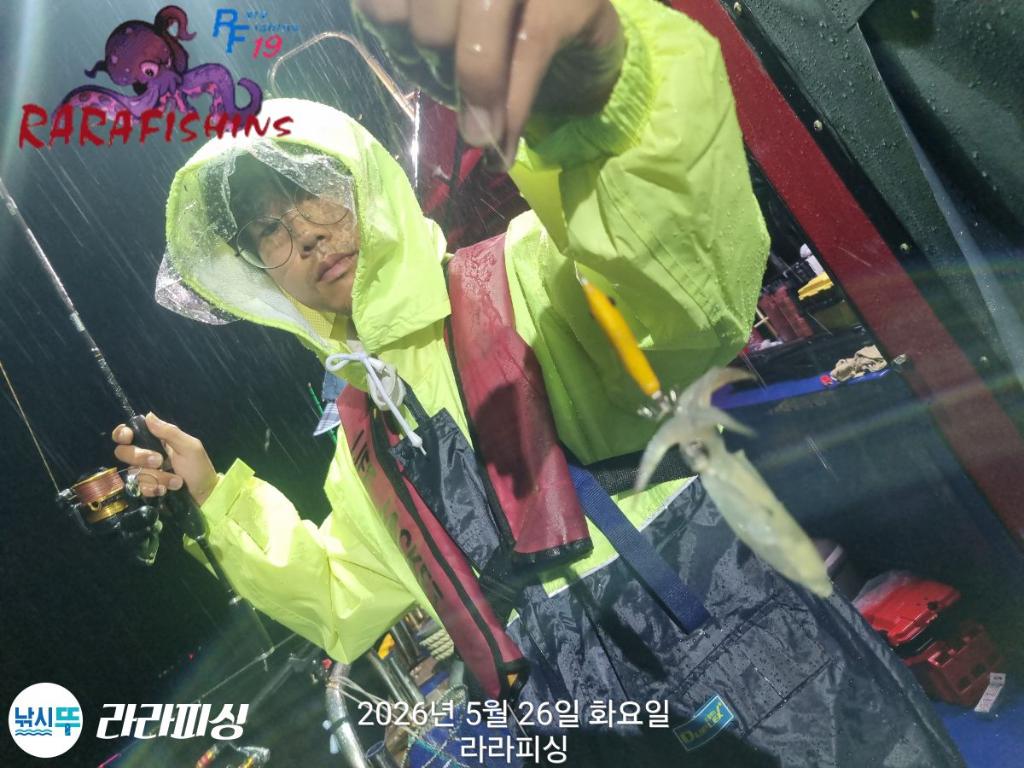 낚시뚜,호래기,속천항(진해),라라피싱,낚시뚜2