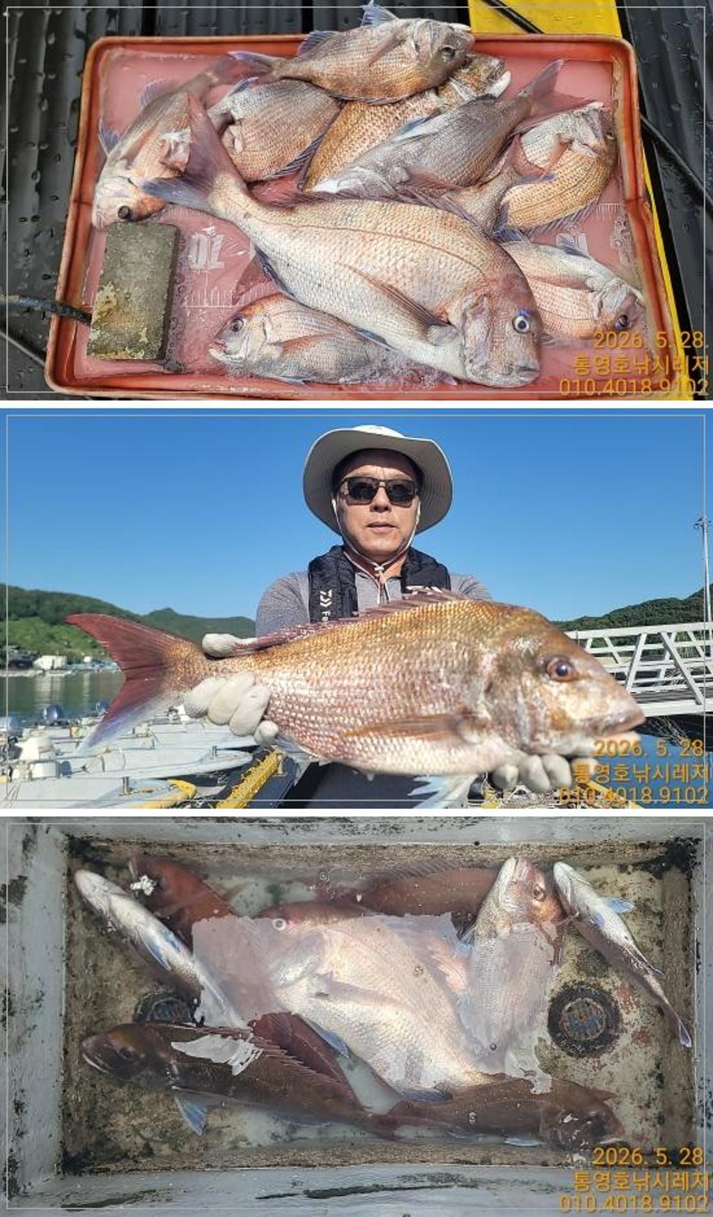 낚시뚜,참돔,풍화수월선착장,통영호 낚시레져,낚시뚜0