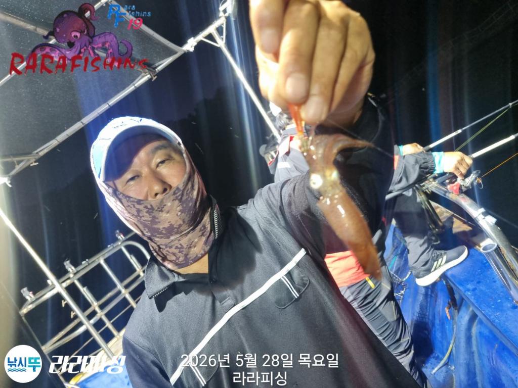 낚시뚜,호래기,속천항(진해),라라피싱,낚시뚜2