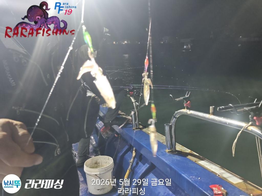 낚시뚜,호래기,속천항(진해),라라피싱,낚시뚜3