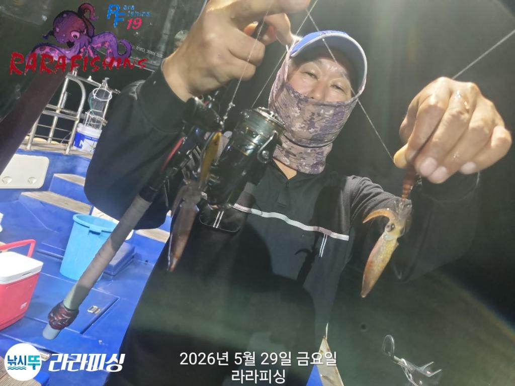 낚시뚜,호래기,속천항(진해),라라피싱,낚시뚜2