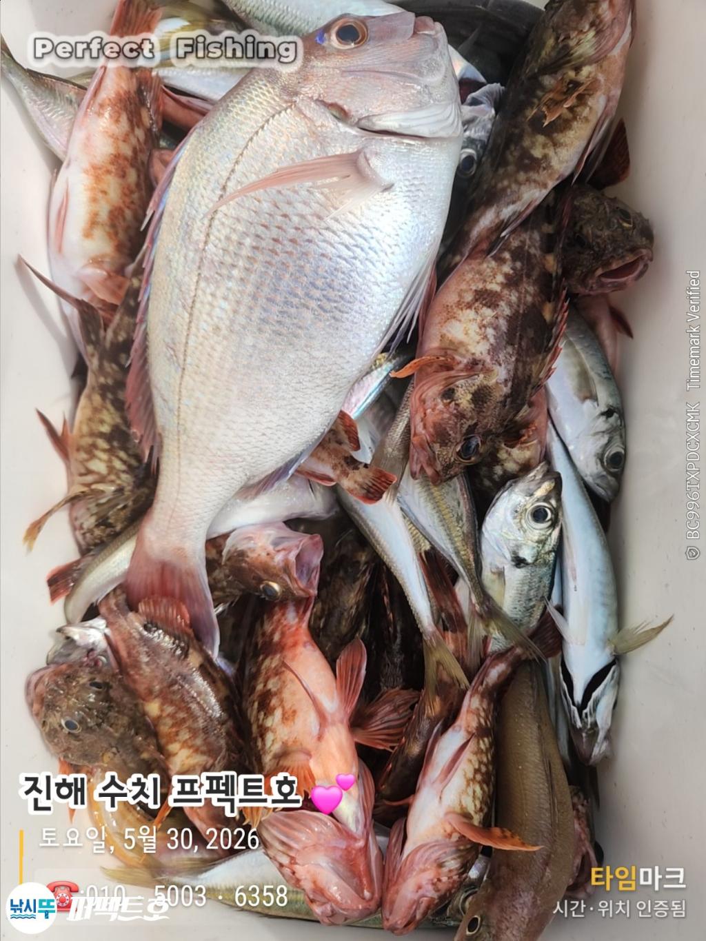 낚시뚜,전갱이,쏨뱅이,노래미,진해 수치마을 방파제,퍼펙트호,낚시뚜1
